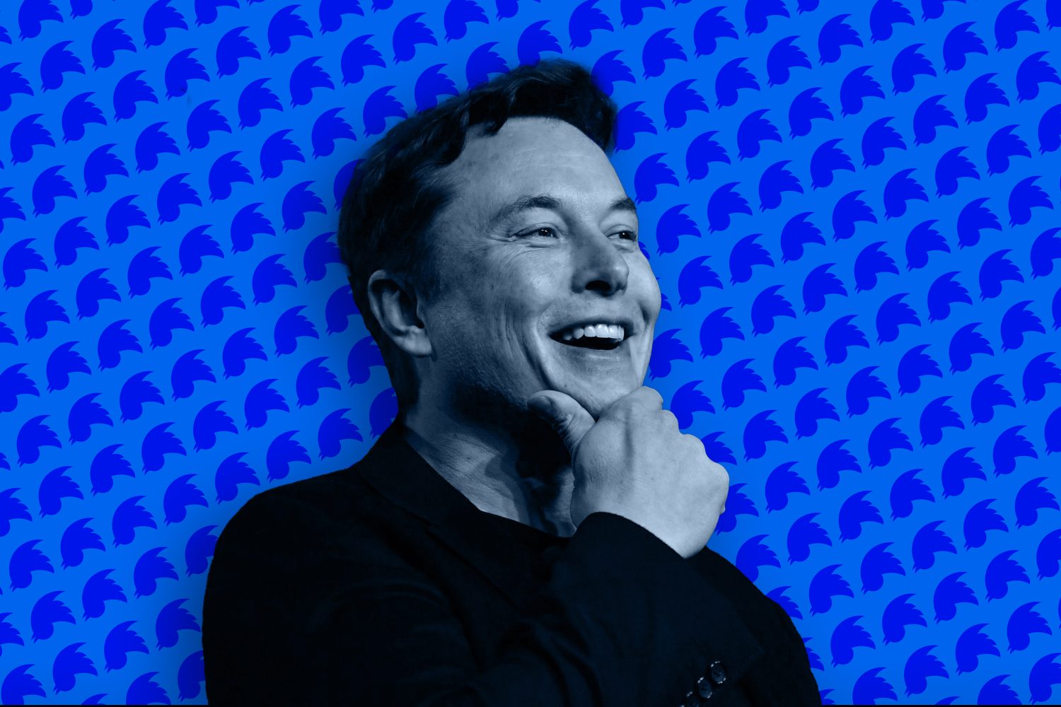 Elon Musk MURO PAGO TWITTER ONLY FANS